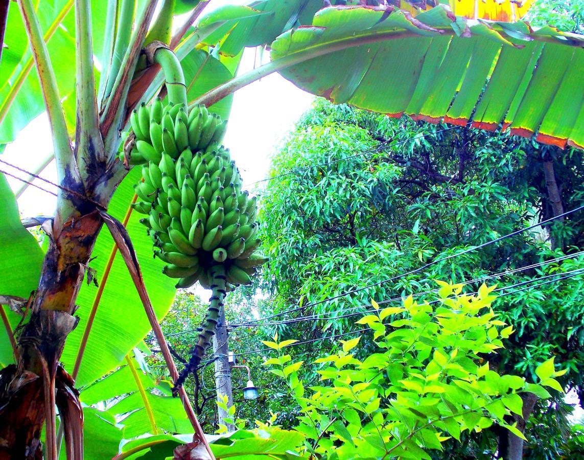 Chill Space Negombo Exterior foto